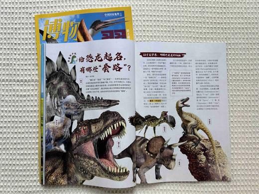 【超划算】博物 2025年7-9月共3期   一次性发货 商品图2