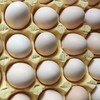 鸟得喜  富硒初生蛋 商品缩略图3