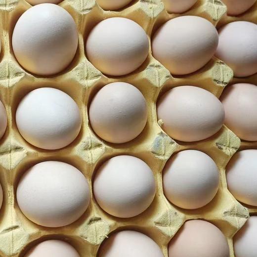鸟得喜  富硒初生蛋 商品图3
