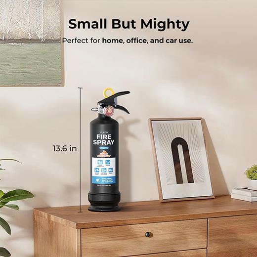 PLEMO水基灭火器大瓶钢瓶厨房桌面车载通用 商品图3