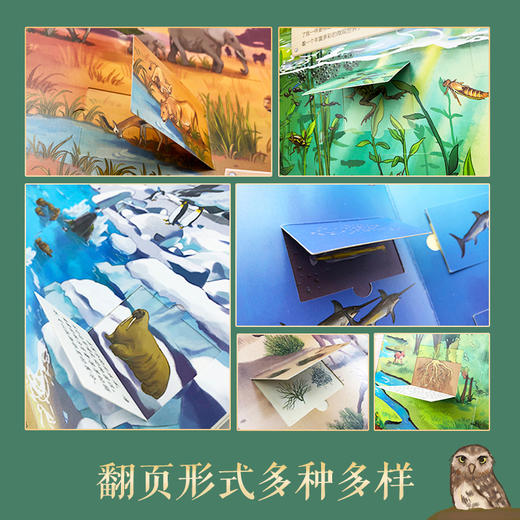 《好奇心大揭秘》科普翻翻书（4册） 商品图3