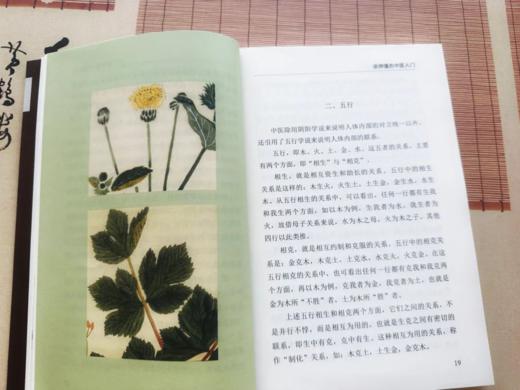 4折包邮《写给中国人的国医三书》+《写给中国人的中医三书》（全6册）， 《国医三书》（全3册）赠：《八段锦导图》， 《中医三书》（全3册）赠：中草药导图和二十四导引修真图各一张。 商品图5