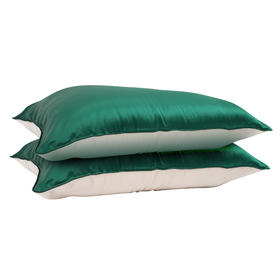 纯色AB面真丝枕套48*74cm（一对装）  A-4799