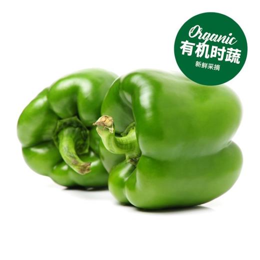 有机青圆椒 Organic Green Pepper 400g/盒 商品图0