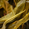 【2025年春茶】【蛇首—薄荷塘单株】原料选自薄荷塘19号茶农600年古树单株， 稀缺资源一泡难求，每一泡都是王者！600克/罐 商品缩略图6