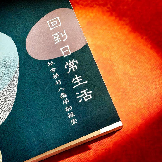 回到日常生活 社会学与人类学的探索 储卉娟 张慧 日常生活论坛 商品图3