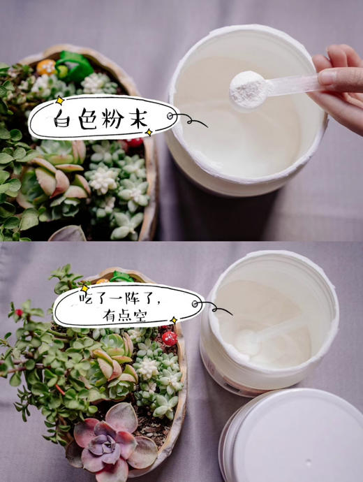 美国 Trunature胶原蛋白 300g 商品图6