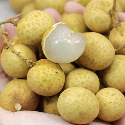 【BF】鲜龙眼500g 商品图1