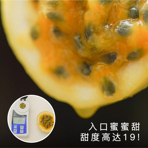 艾格吃饱了海南黄金百香果新鲜当季水果饱满 商品图2