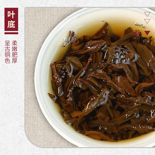 【山纯限品】2025年红茶018正山小种25g 商品图4