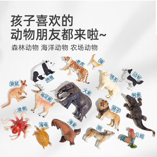 【丸丫专属】mideer弥鹿动物模型儿童实心仿真玩具早教套装 商品图1
