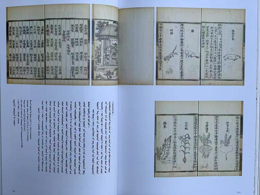 捡漏价：故宫博物院藏《蒙古文物汇编》故宫博物馆出版社2024年二刷，平装大16开276页。定价242，售价212元。 商品图12