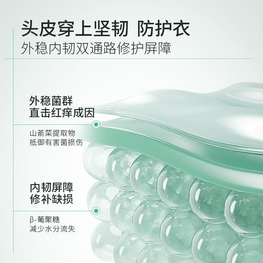 科丽尼青蒿头皮特护精华液30ml 商品图2