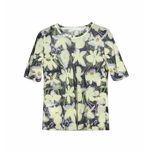 谜底T恤短袖女2025秋新品复古文艺弹力网布软糯印花上衣253MT1012 商品图4