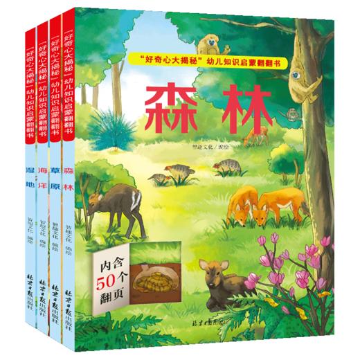《好奇心大揭秘》科普翻翻书（4册） 商品图0