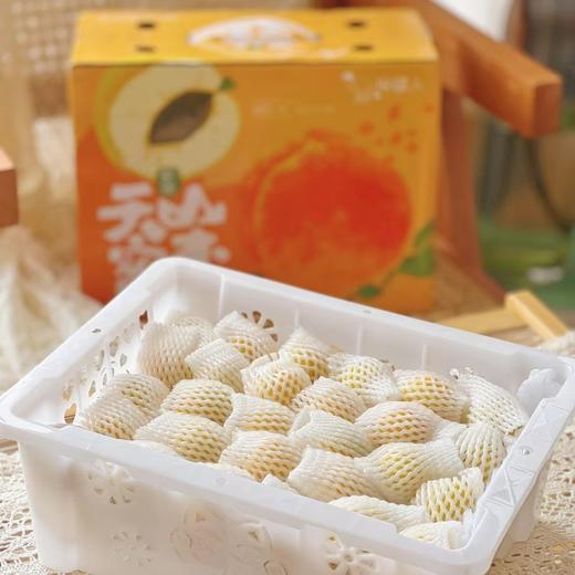 【新疆小红杏】顺丰/京东空运 甜蜜多汁 细腻绵软 个头迷你珍珠 一杏两吃 果肉和杏仁 杏香四溢 核肉易分离 2种规格任选 商品图6