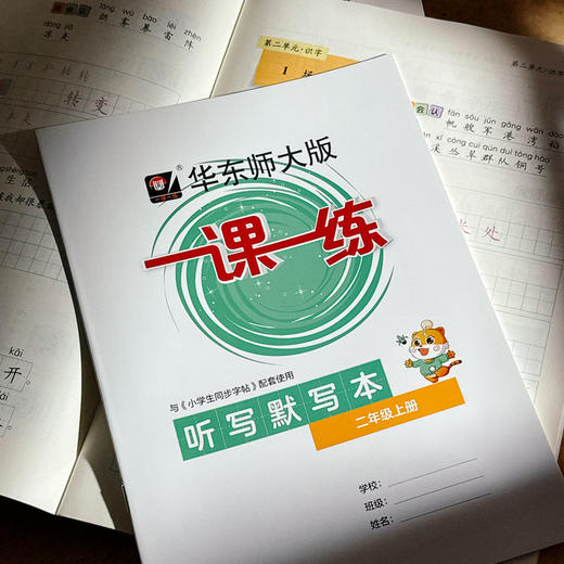 华东师大版一课一练 小学生同步字帖 附听写默写本 1-5年级上册 商品图5