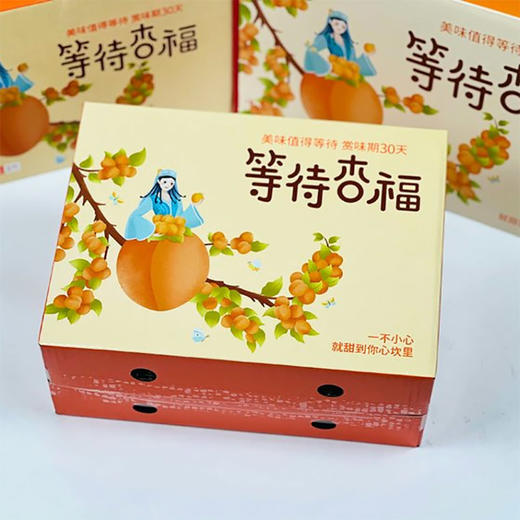 新疆阿克苏四团小红杏 净重2-4斤礼盒装 阳光小红杏 肉厚核小 自然清甜 商品图9