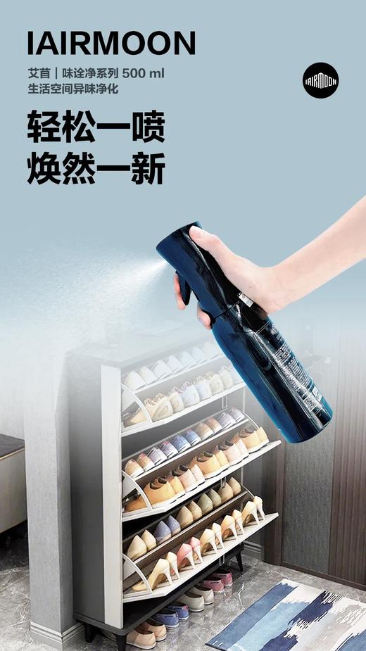 艾苜IAIRMOON味诠净|黑金刚 &白月光|民用版日常生活异味净化装(定制产品不退不换) 商品图3