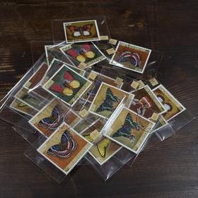 komorebi丨蝴蝶邮票