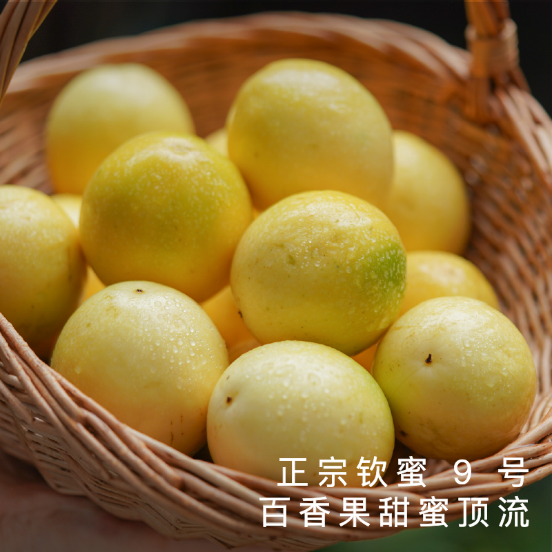 艾格吃饱了海南黄金百香果新鲜当季水果饱满