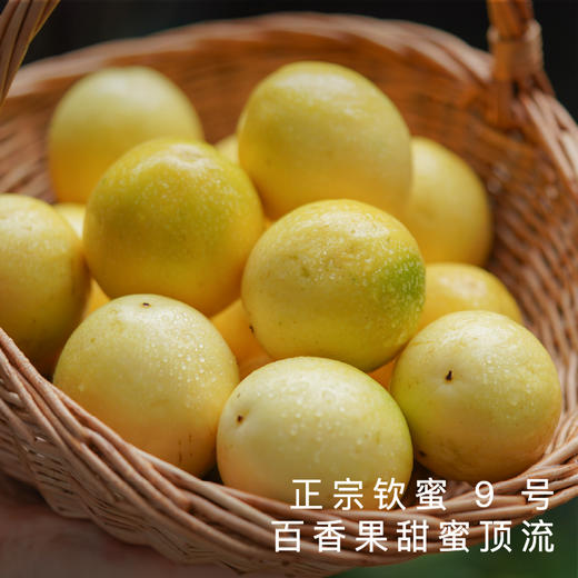艾格吃饱了海南黄金百香果新鲜当季水果饱满 商品图0