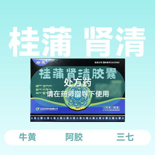 桂蒲肾清胶囊12粒*3板 商品图0