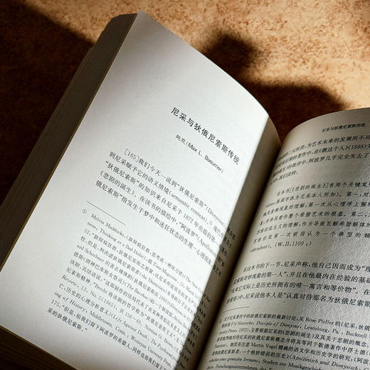 尼采与古典传统 西方传统经典与解释 尼采注疏集 哲学研究 商品图12