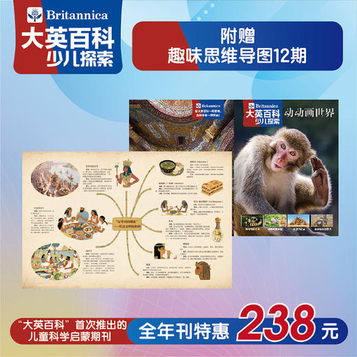 大英百科少儿探索 25年7月-26年6月(全年共12期)【全年订阅】送价值79元定制实用收纳笔袋 商品图3