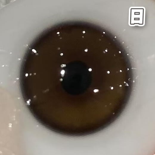 #CD20 蛋黄仔 棕【10片装】国产精品 / 14.2mm日抛 商品图2