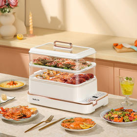 【电蒸锅多功能家用电蒸锅】可预约定时 三层四层大容量一体可视蒸汽锅 