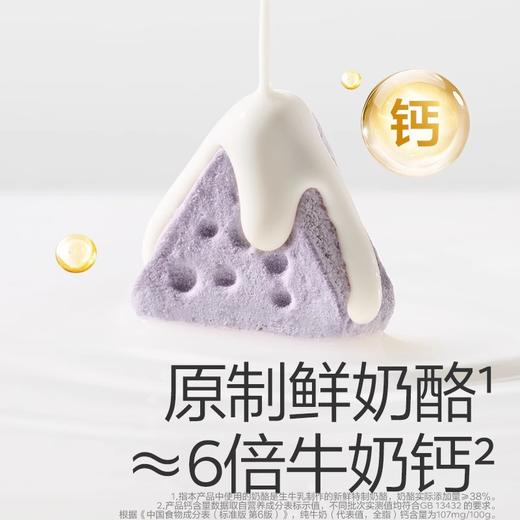 光合星球婴幼儿缤纷三角奶酪块20g 商品图1