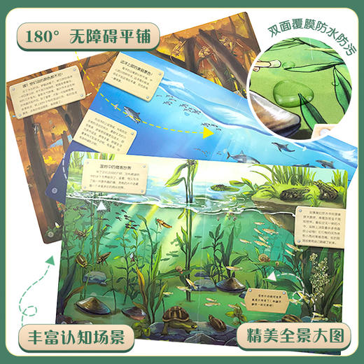 《好奇心大揭秘》科普翻翻书（4册） 商品图1