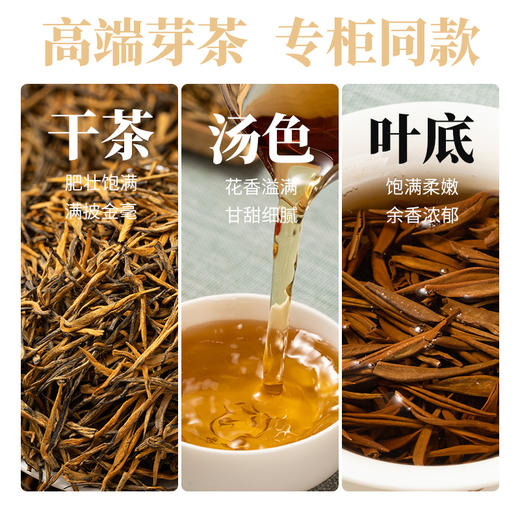 凤宁号【桂蜜金针】经典芽茶250克大包装云南滇红茶 商品图2