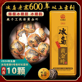 【年中狂欢】冰岛老寨600年以上古树！纯手工挑捡黄金叶！爆棚冰糖甜 冰糖韵！2024年头春，冰岛老寨6号老村长直供！真心好喝！