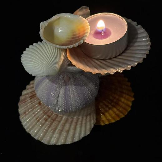 komorebi丨贝壳烛台 商品图0