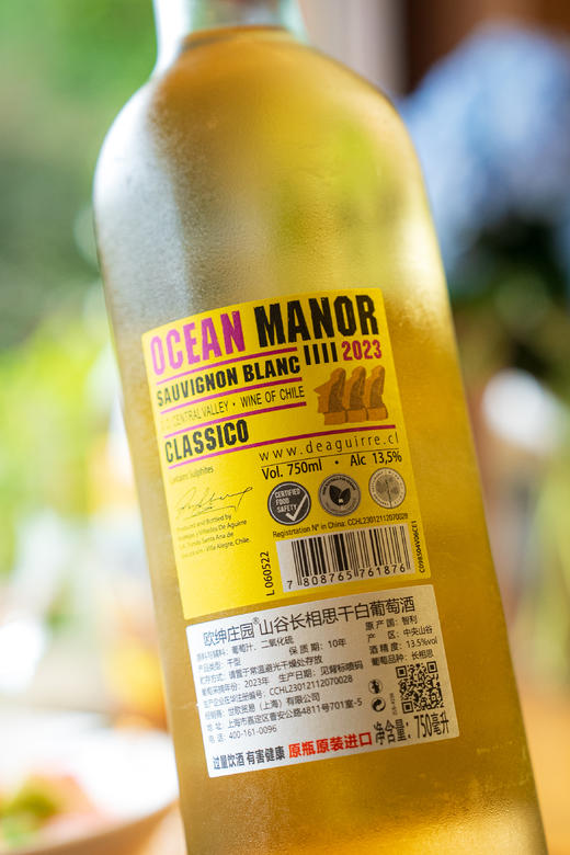 【原瓶进口超值6瓶装】智利欧绅庄园®山谷长相思干白葡萄酒750ml*6瓶 商品图3