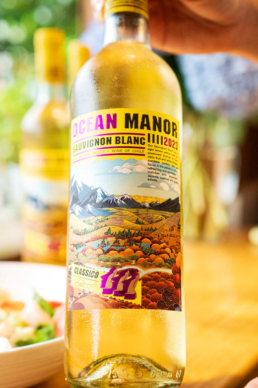 【原瓶进口超值6瓶装】智利欧绅庄园®山谷长相思干白葡萄酒750ml*6瓶 商品图4