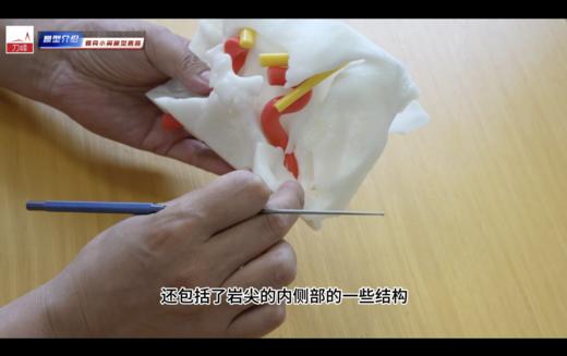 认知模型介绍与讲解 商品图0