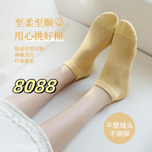 [下单数量选择10双去结算]女袜子清仓19.9元10双款式可选颜色随机 商品图9