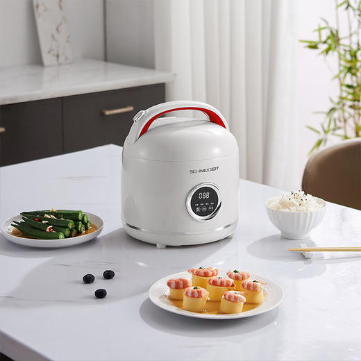 施耐德电饭煲SWK-XFL2512 商品图5