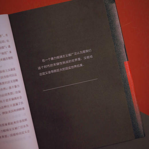 【美】J. M. 伯杰《极端主义》（交界译丛） 商品图4