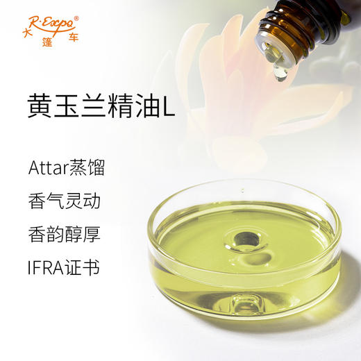 黄玉兰精油L Nag Champa Oil 印度直采 原料批发芳疗护理调香 商品图1