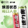 【元气"助推器" 1罐≈6根人参皂苷含量】速力奥发酵人参营养饮料 310ml*6罐/12罐 商品缩略图0
