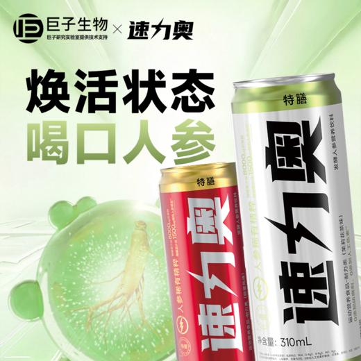 【元气"助推器" 1罐≈6根人参皂苷含量】速力奥发酵人参营养饮料 310ml*6罐/12罐 商品图0