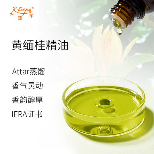 黄缅桂精油 Michelia Champaca 印度直采 原料批发芳疗护理调香 商品图1