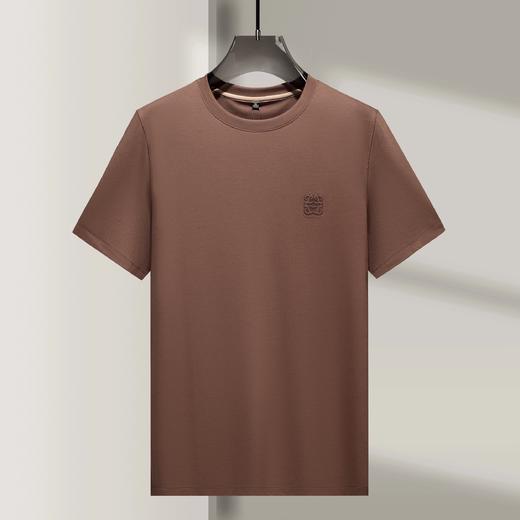 短袖T恤男士高端夏季休闲弹力时尚纯色上衣  YH-Y8013 商品图0