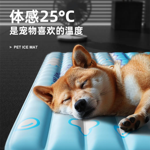 【宠物夏日！凉感冰床】宠物冰垫夏天狗狗睡垫凉席猫咪夏季冰凉垫耐抓冰窝降温猫垫子。ry 商品图2