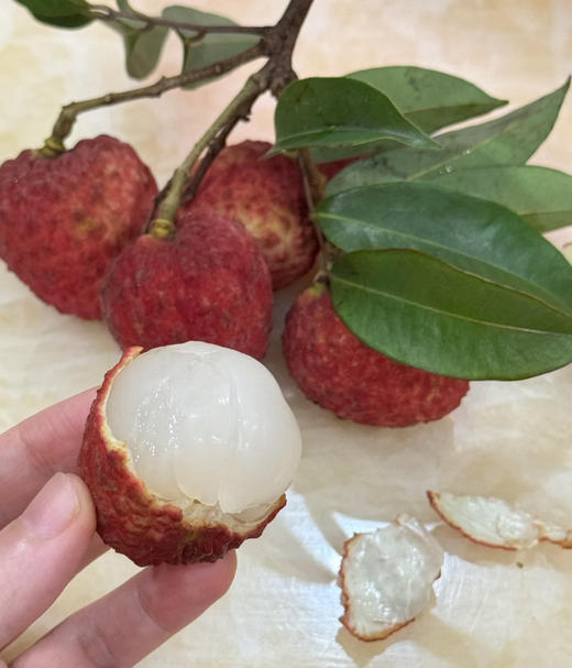 仙进奉荔枝的种植面积很小，每年的产量也很稀少，属于“隐秘的荔枝美味” 商品图0