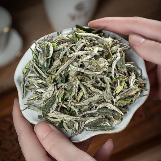 预售 | 2026 国子白 家传  白牡丹  500克/箱   品鉴收藏级 商品图1